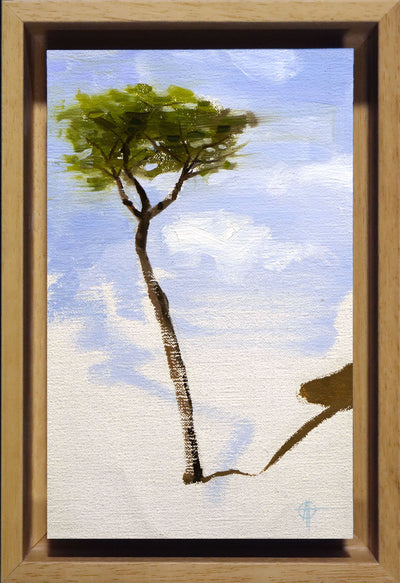 Stone Pine #2