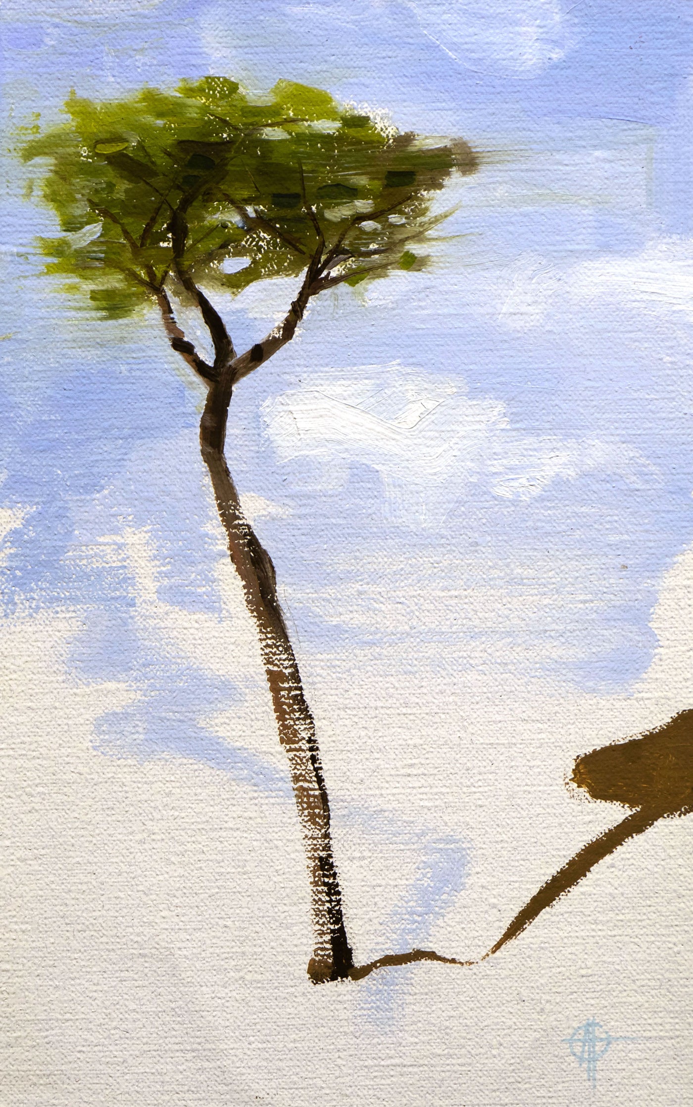 Stone Pine #2