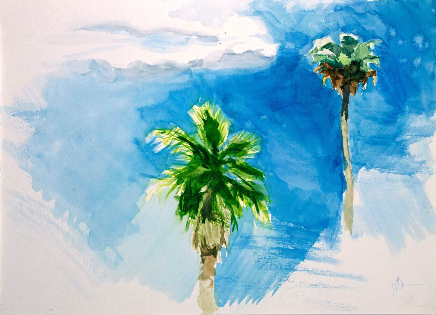 Palm Trees